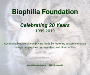 Follow Biophilia Foundation on Facebook.