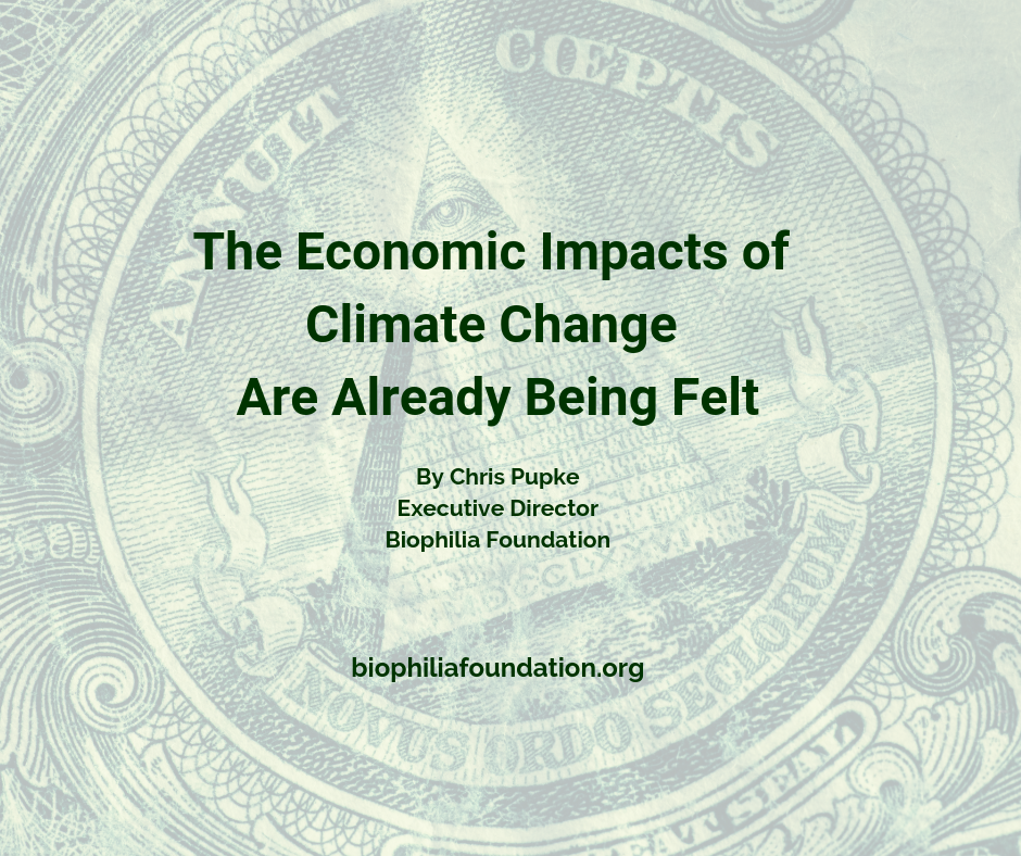 The Economic Impacts of Climate Change Are Already Being Felt