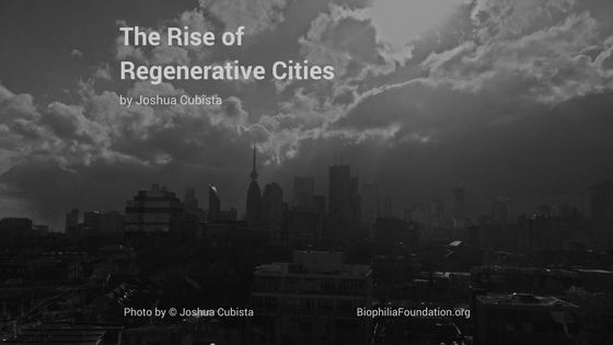 The Rise of Regenerative Cities by Joshua Cubista Photo by © Joshua Cubista