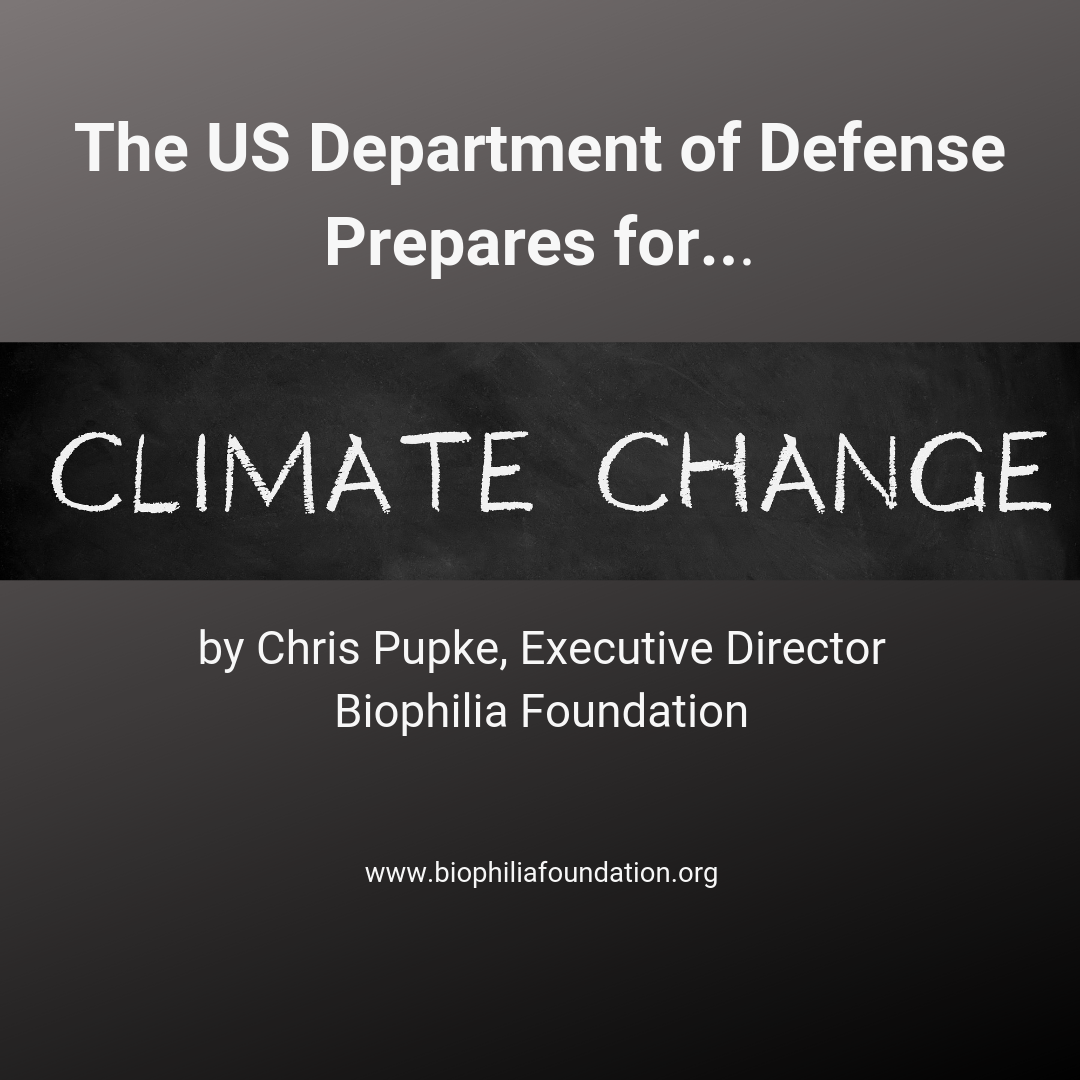 US Department of Defenses Prepares for Climate Change