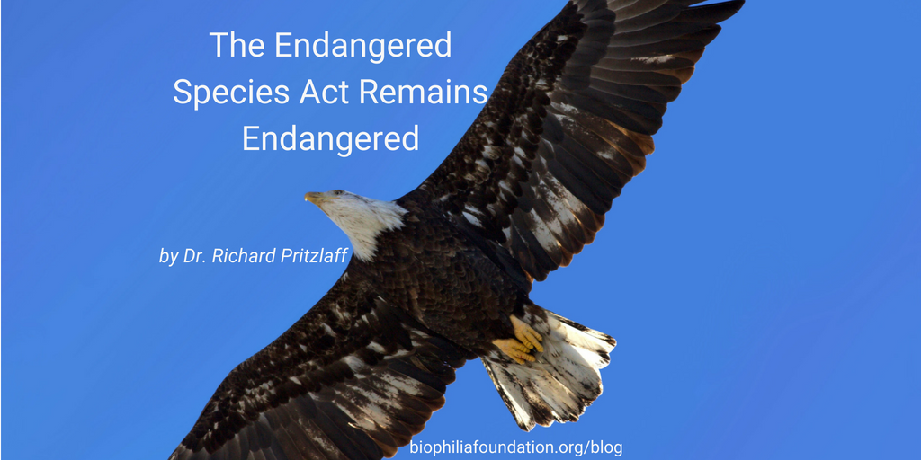 Endangered Species Act Remains Endangered