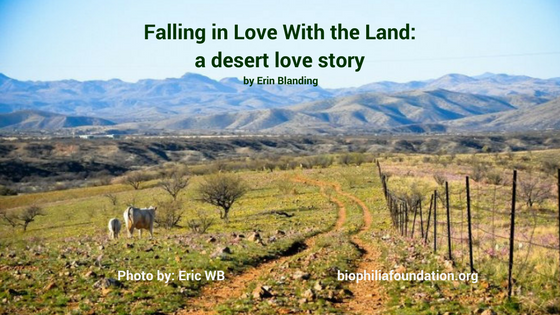 Falling in Love With the Land: a desert love story by Guest Blogger, Erin Blanding
