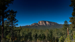 Biophilia Foundation Pritzlaff Ranch