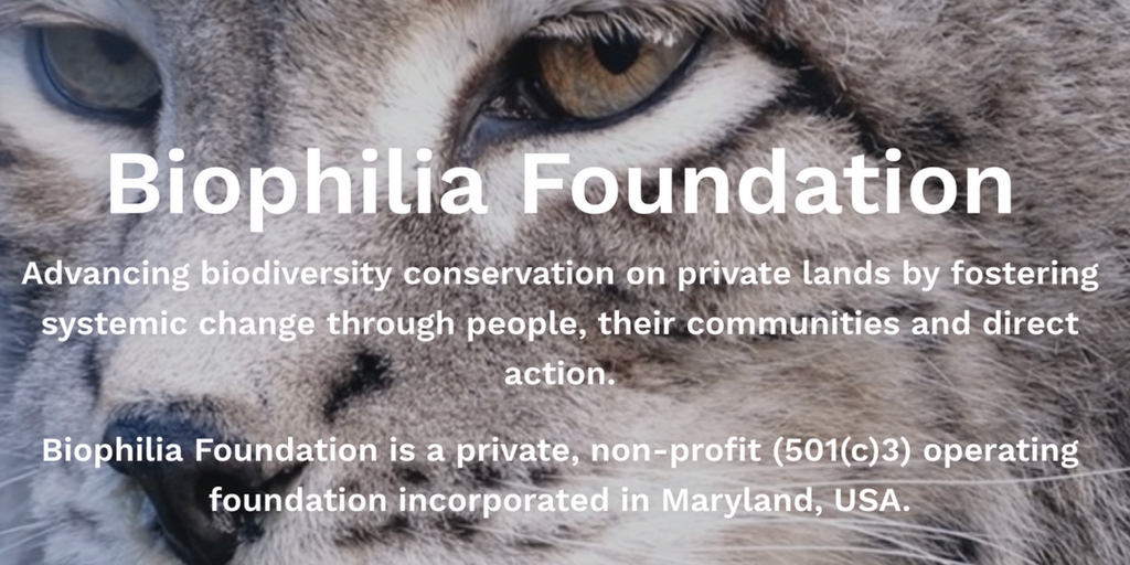 Biophilia Foundation - advancing biodiversity conservation on private lands by fostering systemic change through people, their communities, and direct action.