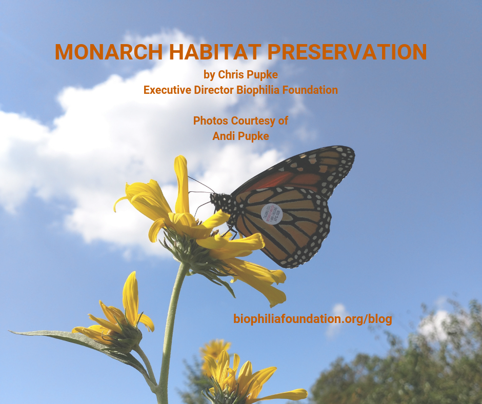Monarch Habitat Preservation Blog Post by Chris Pupke, Photos courtesy of Andi Pupke