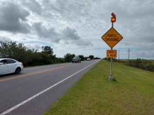 Roads can be significant barriers to wildlife migration. On the causeway to Jekyll Island, Georgia, turtles in search of nesting habitat need to dodge speeding traffic. Photo by Chris Pupke