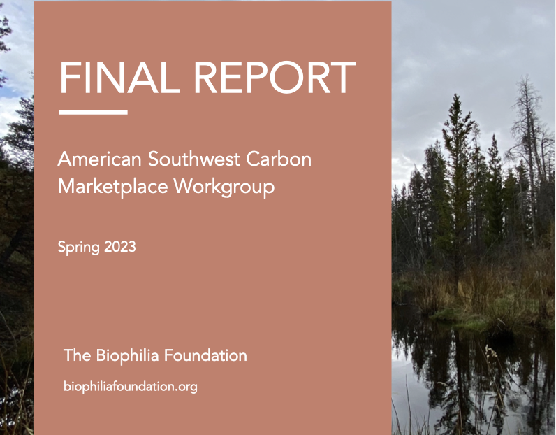 ASCMW final report cover