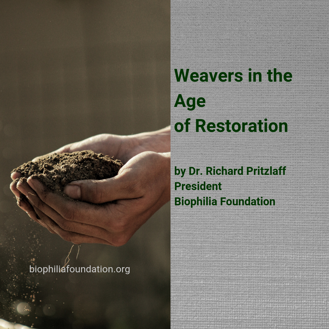 Weavers in The Age of Restoration