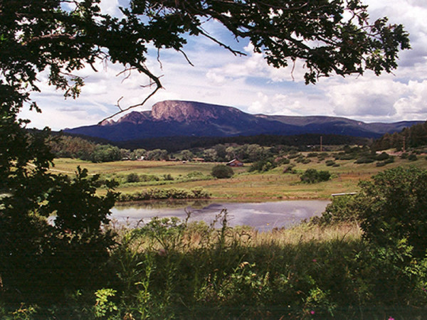 Pritzlaff Ranch, San Ignacio, NM