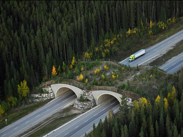 Manmade wildlife corridor crossing over a highway in Montana.